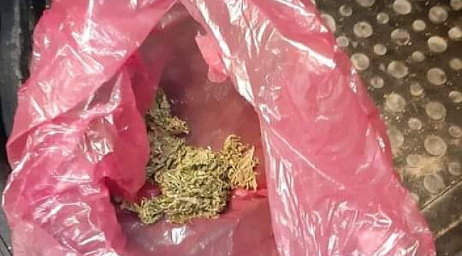 Ordu'da 1 kişi tutuklandı