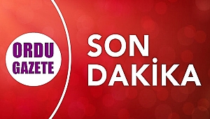 Üniversite öğrencisi gencin cesedi başından vurulmuş şekilde bulundu