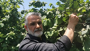 Akça: Üreticilerimiz adına teşekkür ediyorum