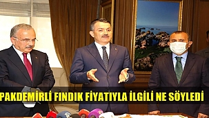 Bakan Pakdemirli fındık fiyatlarıyla ilgili kısa konuştu