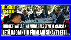 Bakan Pakdemirli milletvekilleriyle fındığı konuştu