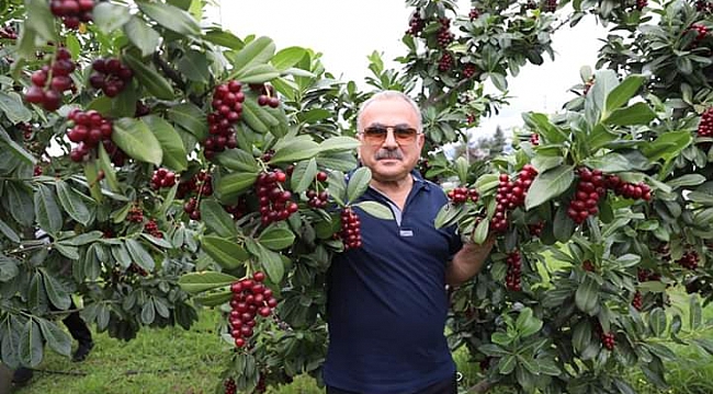 Başkan Güler: Tarım bizim gizli güçümüz