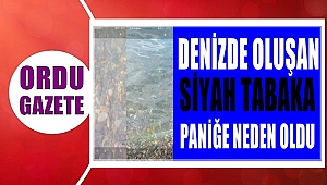 Denizde oluşan siyah tabaka kanserojen mi içeriyor?