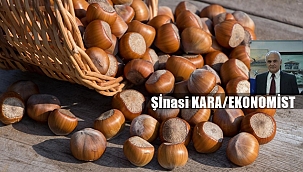 Fındık Fiyatı Ne Olur?
