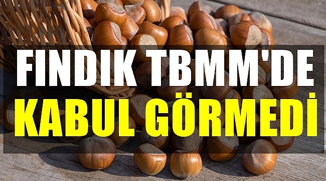 Fındık fiyatlarındaki düşüşün araştırılması için verilen önerge reddedildi