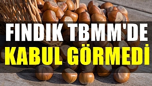 Fındık fiyatlarındaki düşüşün araştırılması için verilen önerge reddedildi