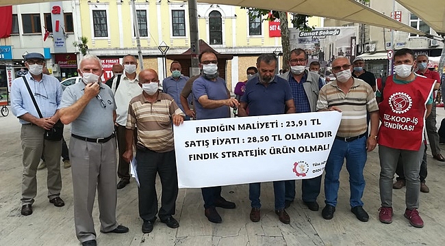 Fındıkta sorun sadece fiyat değil!