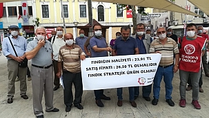 Fındıkta sorun sadece fiyat değil!