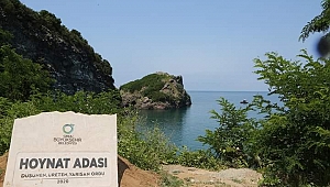 Hoynat'a bakış değişti