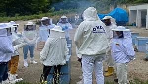 Önder Kadın Arıcılar Sertifikalarını Aldı