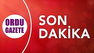 Ordu'da 33 kişi yakalandı 12'si tutuklandı