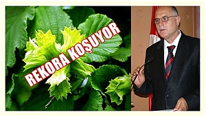 Sevinç: Bu rakamlar bir zaferdir