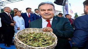 Tomakin: Fındık üzerinden kimse politika yapmasın