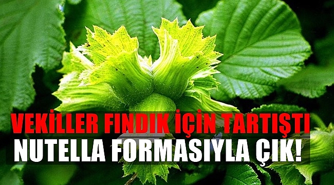 Torun ile Gündoğdu tartıştı!