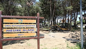 Uzağa Gitmeye Gerek Yok; Şehrin Merkezinde Mesire Yeri