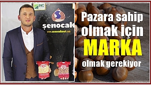 Yiğit Şenocak: Ordu ve Giresun'un fındıktan başka alternatifi yok