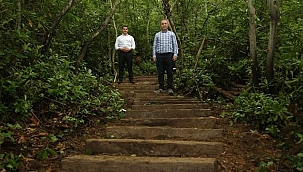 Yoroz Kent Ormanı Yenileniyor