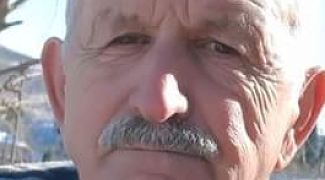 Ağaçtan düşüp hayatını kaybetti