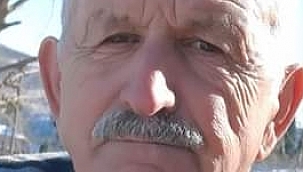 Ağaçtan düşüp hayatını kaybetti