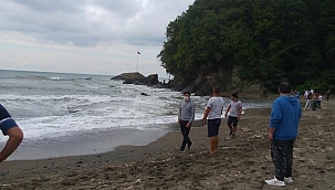 Akıntıya kapılan fındık işçisi denizde kayboldu