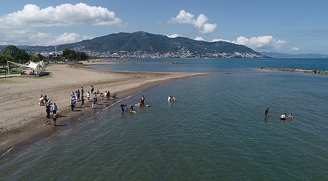 Engelli köpeklerle birlikte yüzdüler