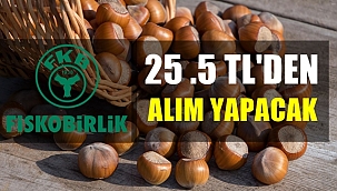Fiskobirlik fındık alımlarına başlıyor