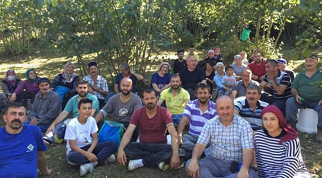 Hastanede yatan vatandaşın fındığını köylü ücret almadan topladı