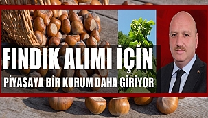 Milletvekili Gündoğdu açıkladı: Bir kurum daha fındık alımı yapacak