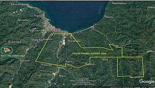 Ordu'da 9 maden sahası ihaleye çıkıyor