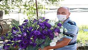 Ordu'da Lishianthus çiçeğinde ilk hasat yapıldı