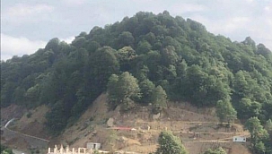 Ormanı kesip inşaat mı yapıldı