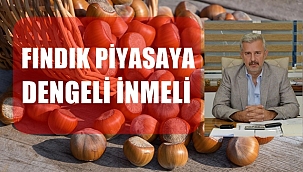 Şenocak: TMO'ya fazla talep olmaz