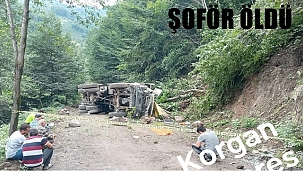 Sürücü kurtarılamadı