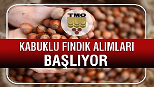 Toprak Mahsulleri fındık alımları için randevu vermeye başladı