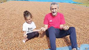 Adıgüzel : Fındık 30 TL'yi geçer