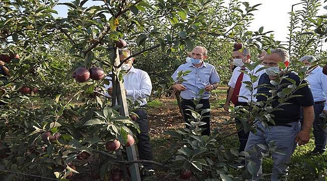 Bu meyveler üniversitede yetişti