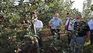 Bu meyveler üniversitede yetişti