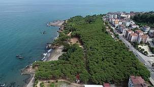 Çamlık kendine geldi