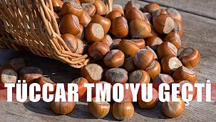 Fındık TMO'dan çok tüccara gidiyor