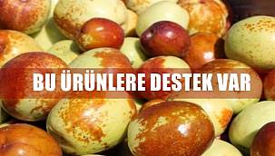 İki ürüne hibe verilecek