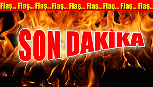 Ordu'da 10 kişi tutuklandı