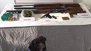 Ordu'da esrar ve silah ele geçirildi