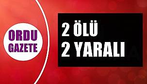 Ordu'da trafik kazası 2 ölü 2 yaralı