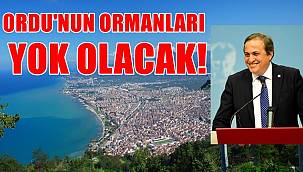 Torun: Madenciler Ordu'nun ormanlarını yok edecek!