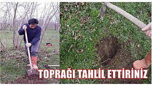 Yılmaz: Yüksek verim için toprağınızı tahlil ettirin