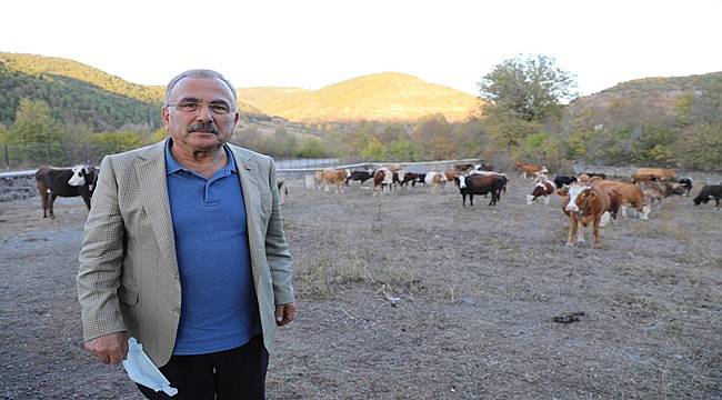 Besicilerin tercihi Hayvan Bakım Oteli