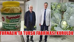 Dürme Pancarı Turşusu Üretecek