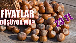 Fındık fiyatları neden düşüyor?