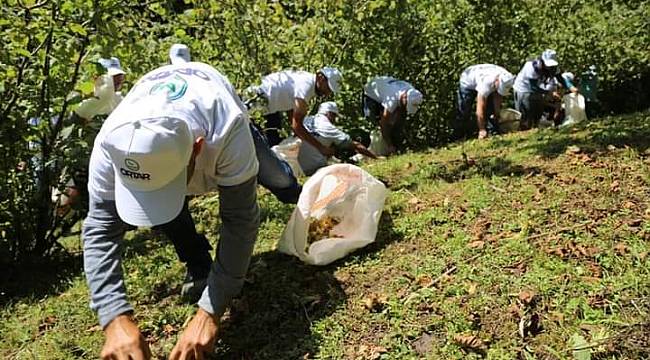 Fındıkta Fınver reformu