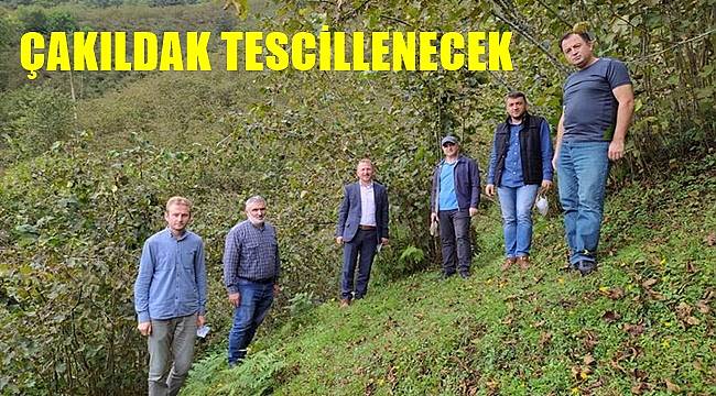 &quot;Gürgentepe Çakıldak&quot; tescillenecek